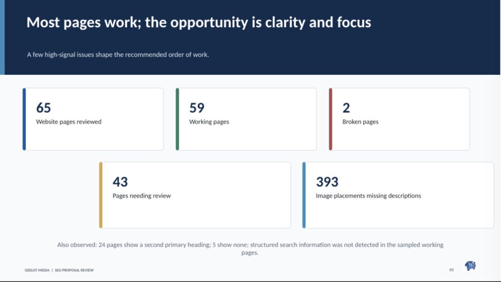 SEO audit summary showing 65 pages reviewed, 59 working, 2 broken, 43 needing review, and 393 image placements missing descriptions.
